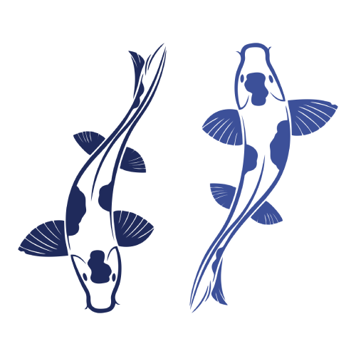 Aquaculture & Koi Pond circulation
